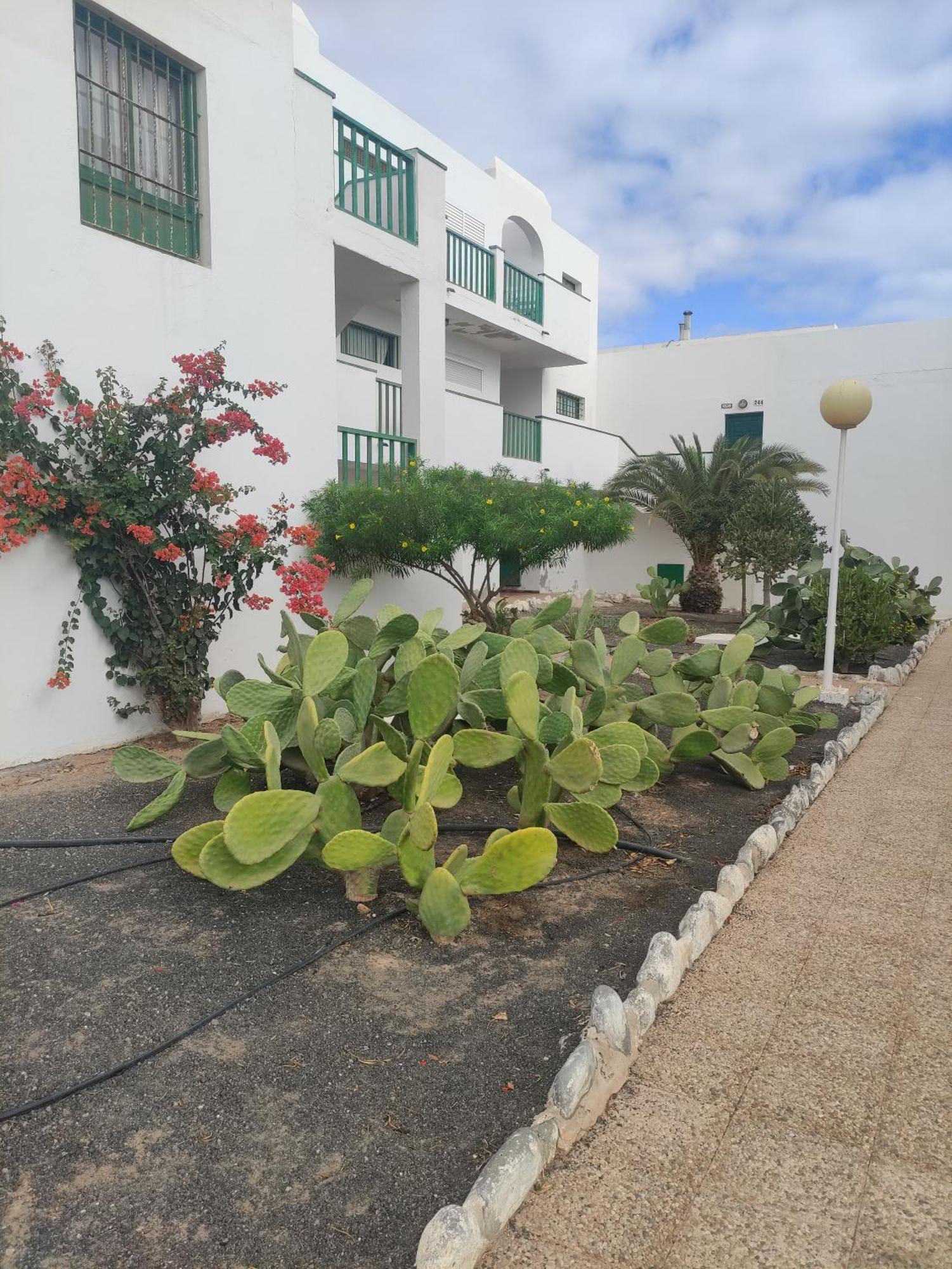 Apartamento Casita Perla Blanca Costa De Antigua Exterior foto